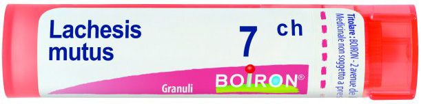LACHESIS MUTUS 7 CH GRANULI - farmaidea24.com
