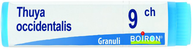 THUYA OCCIDENTALIS 9 CH GLOBULI 1G - farmaidea24.com