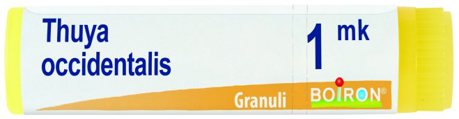 THUYA OCCIDENTALIS MK GLOBULI - farmaidea24.com