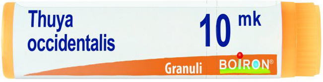 THUYA OCCIDENTALIS XMK GLOBULI - farmaidea24.com