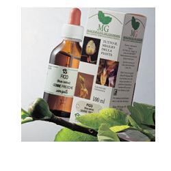 RIBES MACERATO GLICERICO 100 ML - farmaidea24.com