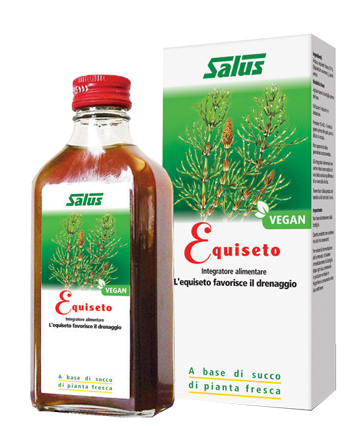 EQUISETO SUCCO 200 ML - farmaidea24.com