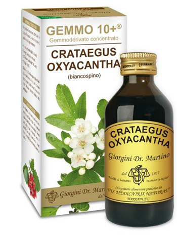 GEMMO 10+ BIANCOSPINO LIQUIDO ANALCOLICO 100 ML - farmaidea24.com