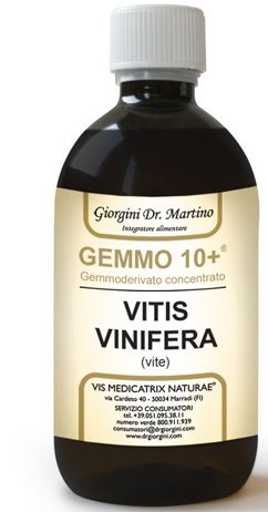 GEMMO 10+ VITE LIQUIDO ANALCOLICO 100 ML - farmaidea24.com