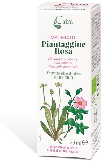 CAIRA PIANTAGGINE ROSA MACERATO IDROALCOLICO GOCCE 50 ML - farmaidea24.com