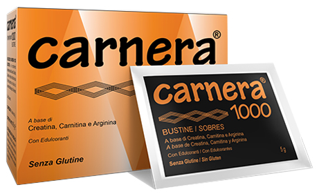 CARNERA 1000 18 BUSTINE - farmaidea24.com