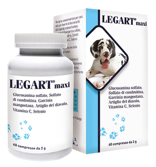 LEGART MAXI 60 COMPRESSE 2 G - farmaidea24.com