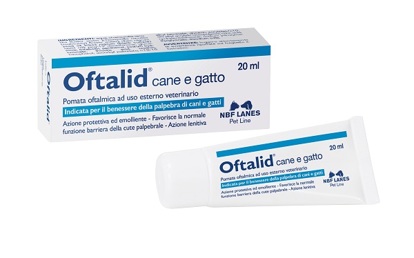 OFTALID POMATA OFTALMICA 20 ML - farmaidea24.com