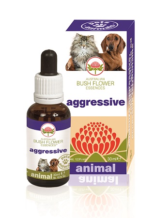 AGGRESSIVE 30 ML - farmaidea24.com
