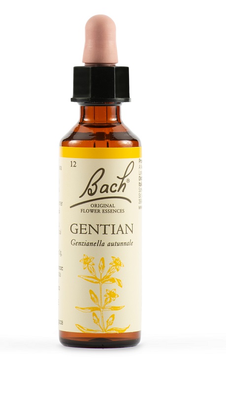 GENTIAN BACH ORIG 20 ML - farmaidea24.com