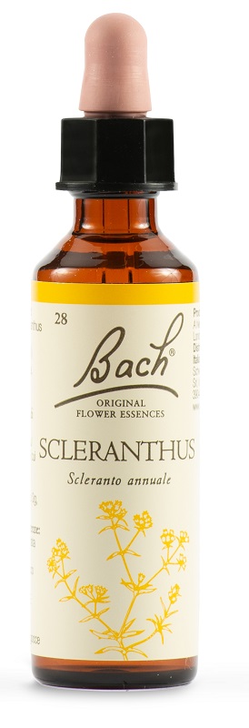 SCLERANTUS BACH ORIG 20 ML - farmaidea24.com