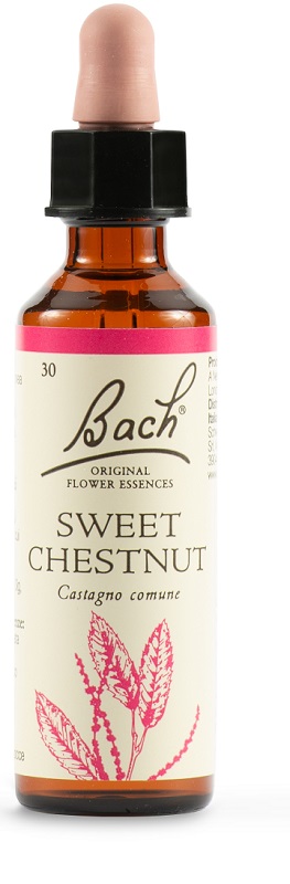 SWEET CHEST BACH ORIG 20 ML - farmaidea24.com