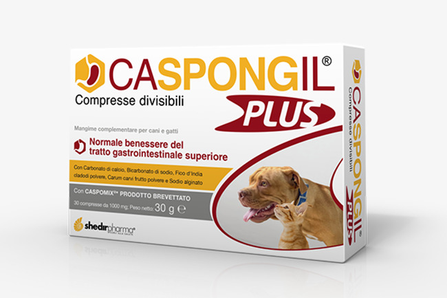 CASPONGIL PLUS 30 COMPRESSE - farmaidea24.com
