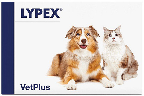 LYPEX 60 CAPSULE - farmaidea24.com