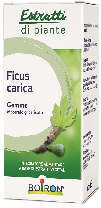 FICUS CARICA BOIRON MACERATO GLICERICO 60 ML - farmaidea24.com
