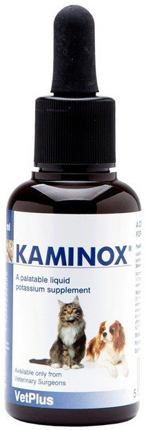 KAMINOX SCIROPPO 60 ML - farmaidea24.com