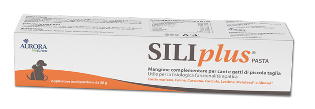 SILIPLUS PASTA 30 G - farmaidea24.com