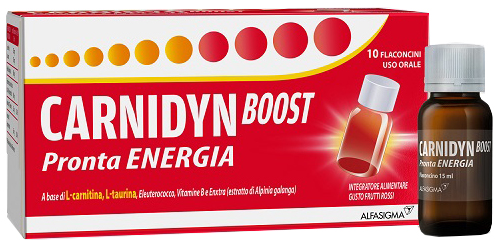 CARNIDYN BOOST 10 FLACONCINI - farmaidea24.com