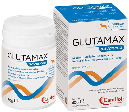 GLUTAMAX ADVANCED 30 COMPRESSE - farmaidea24.com